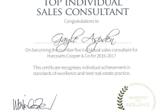 No.5 Individual Sales Consultant for Harcourts Cooper & Co - 2016-2017